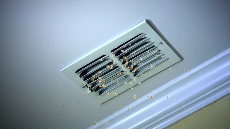 Best HVAC System Cleaning  in Story City, IA