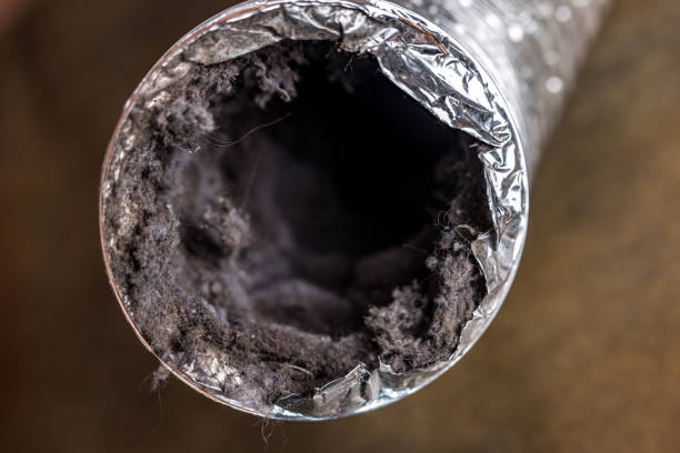 Best Ductwork Cleaning Services  in Story City, IA